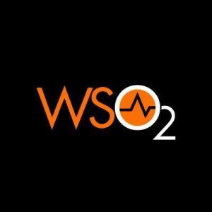 Enterprise Service Bus (ESB) Integration (e.g., MuleSoft, WSO2)