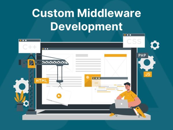 Custom Middleware Development